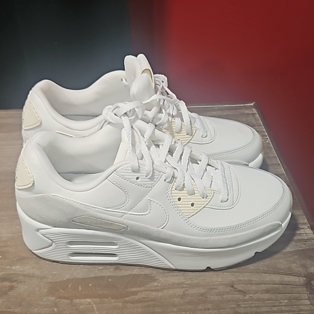 Nike Air Max Sneakers